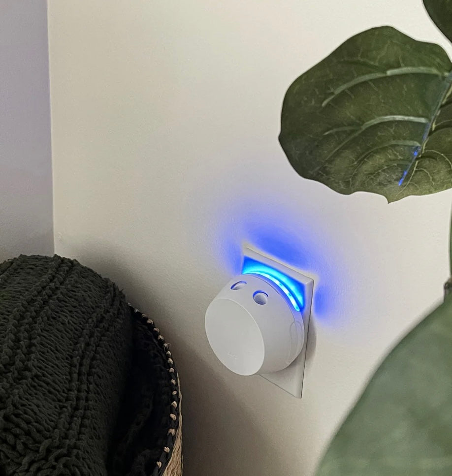 Pura + Bridgewater Smart Home Diffuser Set with Sweet Grace and Afternoon Retreat