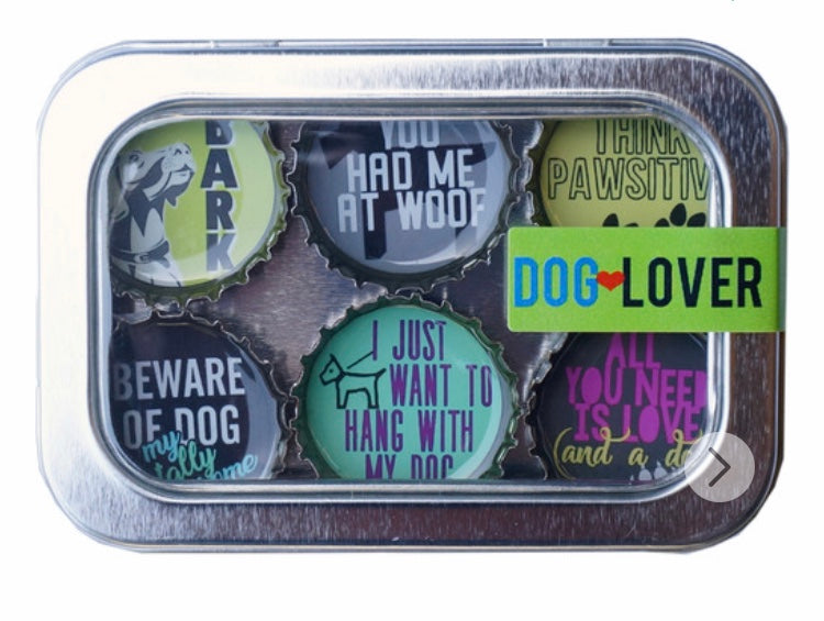 Bottle Cap Magnets