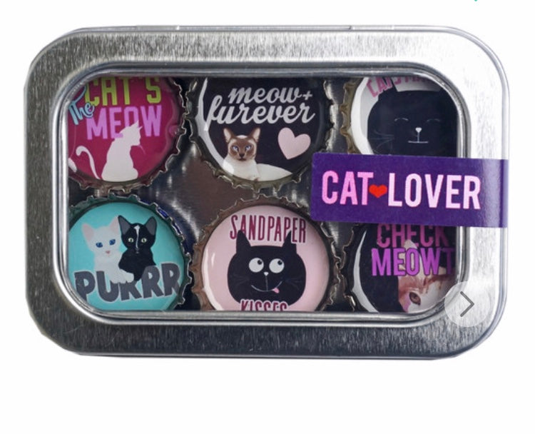 Bottle Cap Magnets