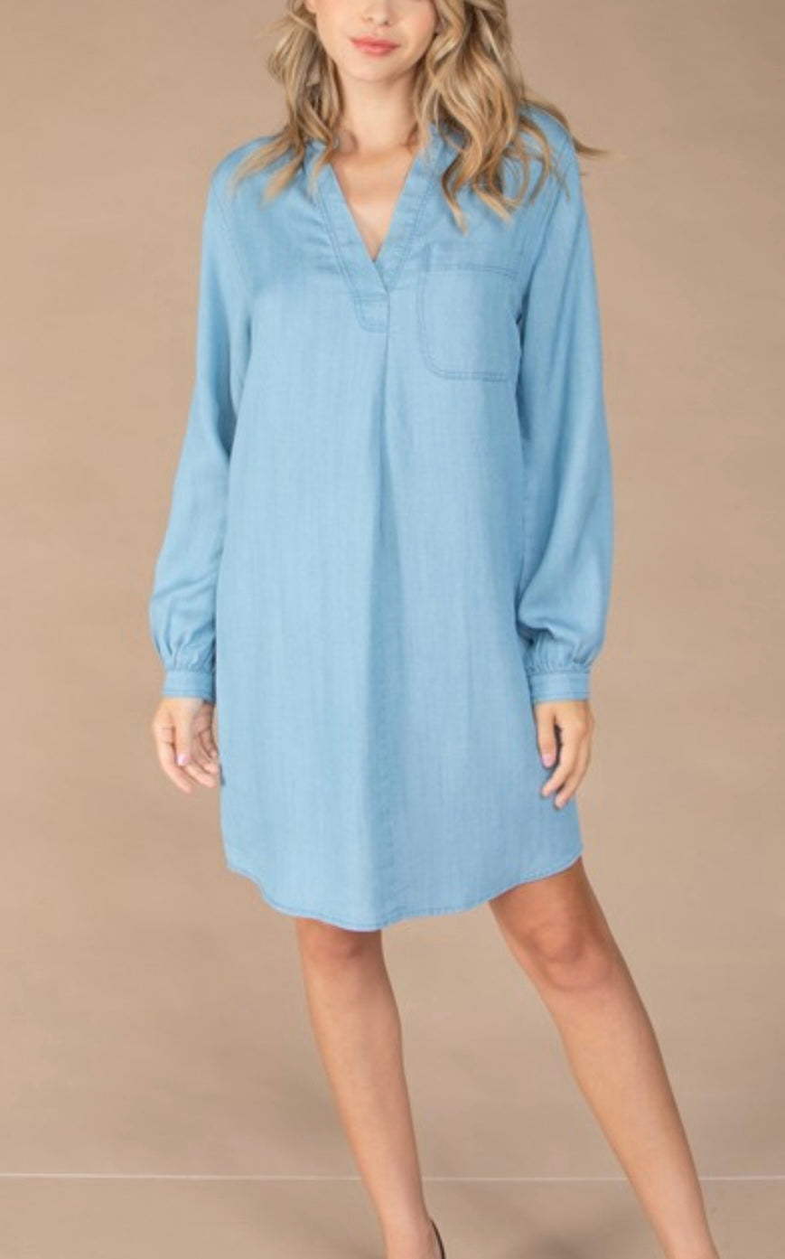 Tencel Denim Shirt Dress