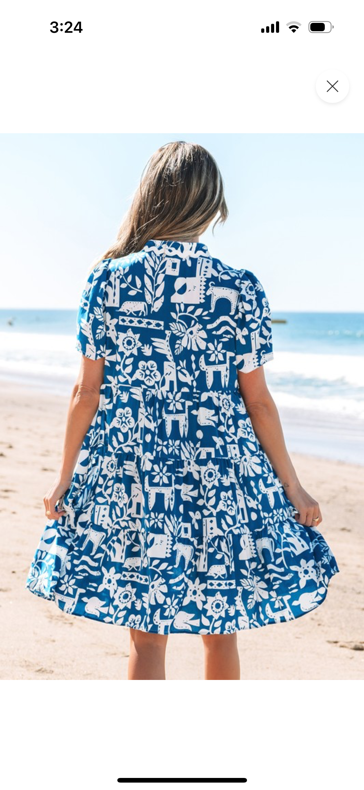 Into the Blue Dress