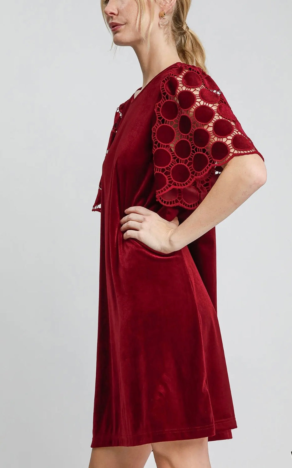 Velvet Dress (2 colors)