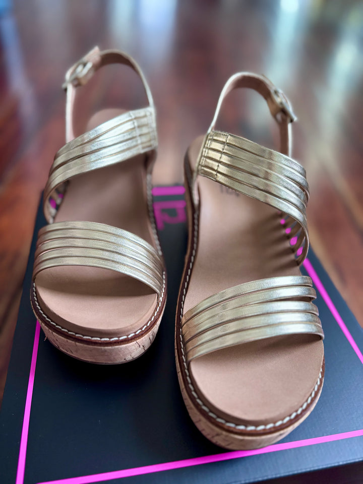 Corky’s About Last Night Wedge