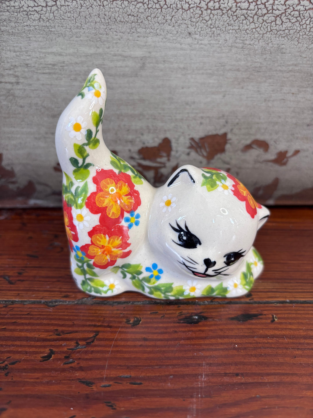 Kalich Kitten