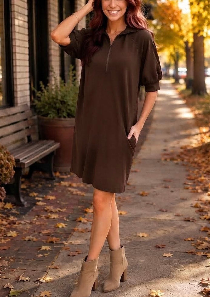 Luxe Knit Zip Neck Dress (2 colors)