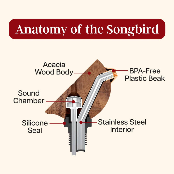 Songbird Specialties® Wine Bottle Pourer, Red